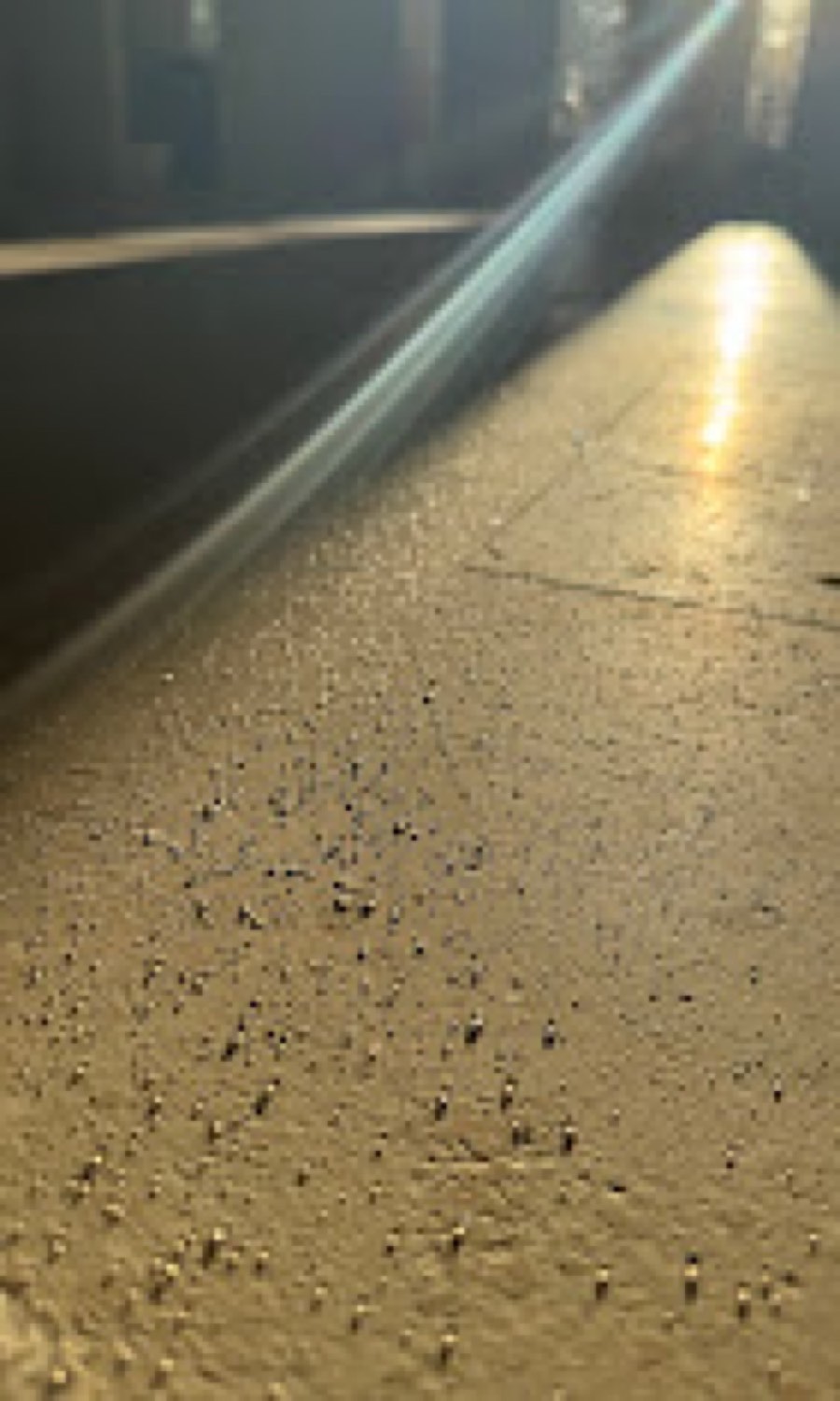 Close-up sealed travertine stone surface