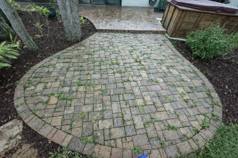 pavers with weeds